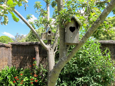 Apple Tree Cottage - Accommodation Gladstone 28