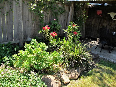 Apple Tree Cottage - Accommodation Gladstone 26