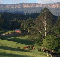 Amaroo Valley Springs - Accommodation Gladstone