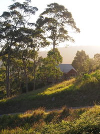 Book Bawley Point Accommodation Vacations Accommodation Gladstone Accommodation Gladstone