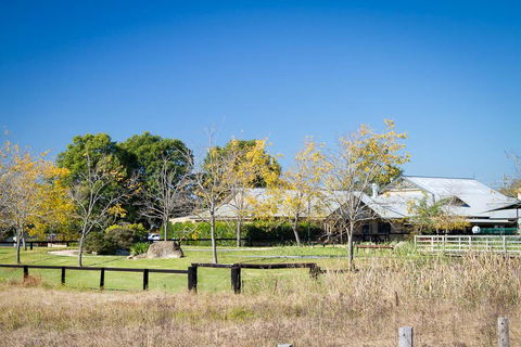 Potters Apartments - Accommodation Gladstone 26