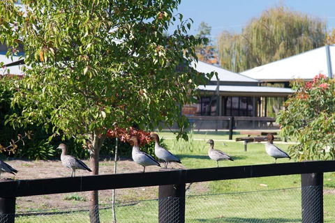 Potters Apartments - Accommodation Gladstone 25
