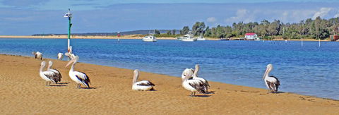 Pelican Motor Inn - Accommodation Gladstone 29