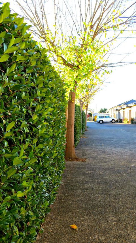 Best Western Plus Goulburn - Accommodation Gladstone 37