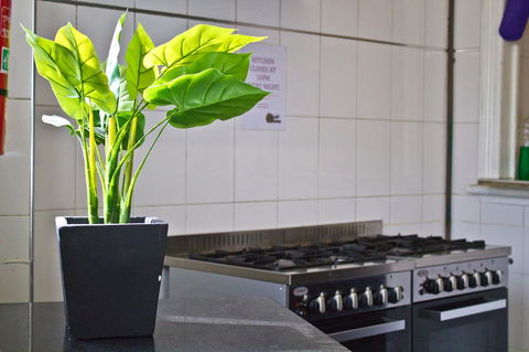 Mad Monkey Kings Cross - Accommodation Gladstone 19