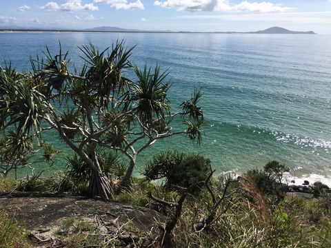 Hat Head Beach Cottage 1 - Accommodation Gladstone 23
