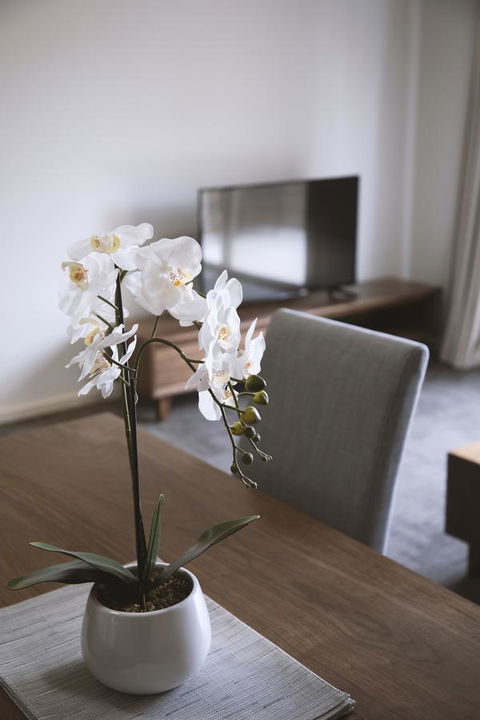 Quest Wagga Wagga - Accommodation Gladstone 11