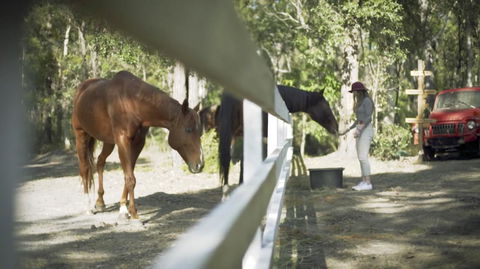 The Woods Farm Jervis Bay - Accommodation Gladstone 13