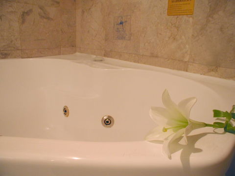 Novotel Sydney Brighton Beach - Accommodation Gladstone 11