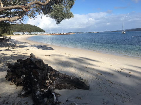 Ambience - Accommodation Gladstone 28
