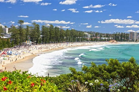 Oversized 2 Bedroom Manly Beach House - Accommodation Gladstone 12