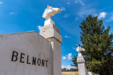 Belmont - Accommodation Gladstone 4
