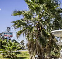 Allonville Gardens Motel - Accommodation Gladstone