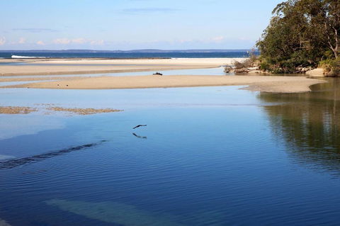 Jervis Bay Beach Shack I Pet Friendly - Accommodation Gladstone 19
