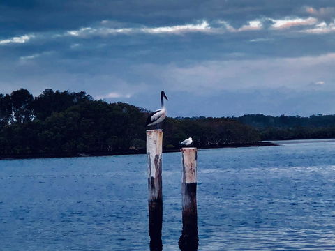 Boathouse Resort (Water Front) - Accommodation Gladstone 15