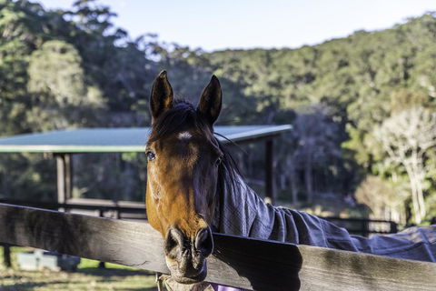 The Outlook Cabana - Accommodation Gladstone 19