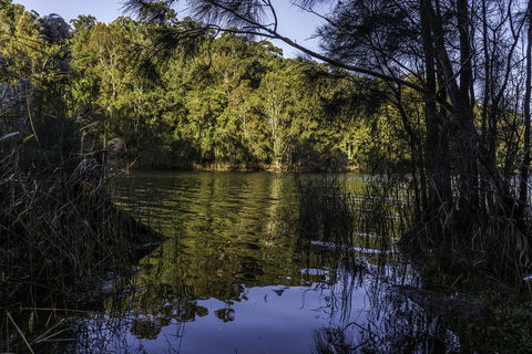 The Outlook Cabana - Accommodation Gladstone 21
