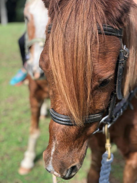 The Outlook Cabana - Accommodation Gladstone 17
