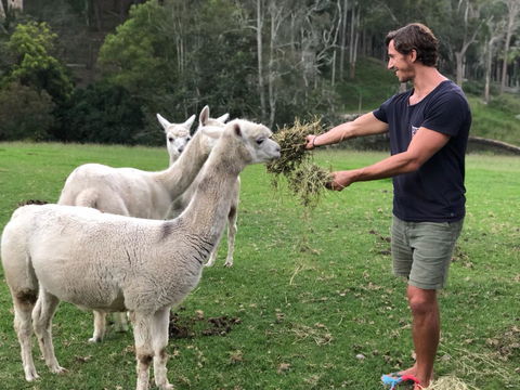 The Outlook Cabana - Accommodation Gladstone 20