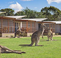 Discovery Parks  Pambula Beach - Accommodation Gladstone