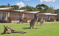 Book Pambula Beach Accommodation Vacations Accommodation Gladstone Accommodation Gladstone