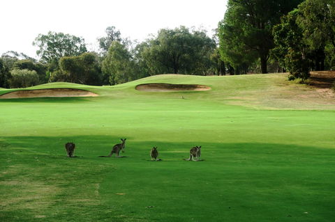 Mulwala Resort - Accommodation Gladstone 40