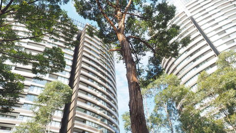 SkyGarden Sydney Olympic Park 3 & 4 Bedroom City View - Accommodation Gladstone 33