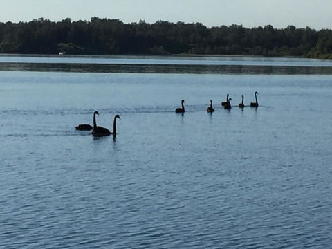 Swan Bay Hideaway - Accommodation Gladstone 7