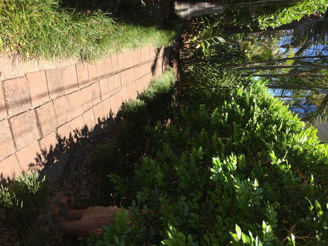 Swan Bay Hideaway - Accommodation Gladstone 6