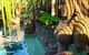 Aabi's At Byron - thumb 19