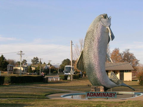 Cooma Motor Lodge Motel - Accommodation Gladstone 19