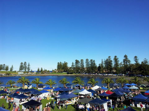 Bellevue Accommodation - Accommodation Gladstone 20