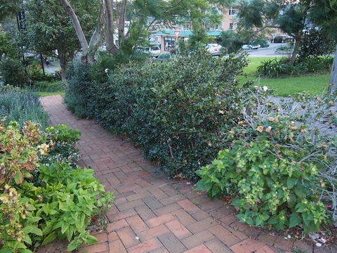 Bellevue Accommodation - Accommodation Gladstone 22