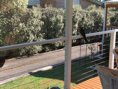 The Best Exotic Magnolia Cottage - Accommodation Gladstone 15