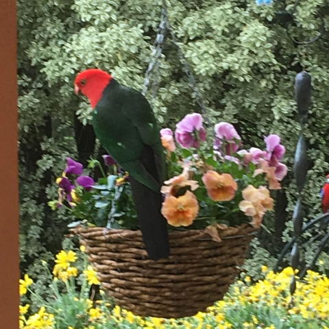 The Best Exotic Magnolia Cottage - Accommodation Gladstone 32
