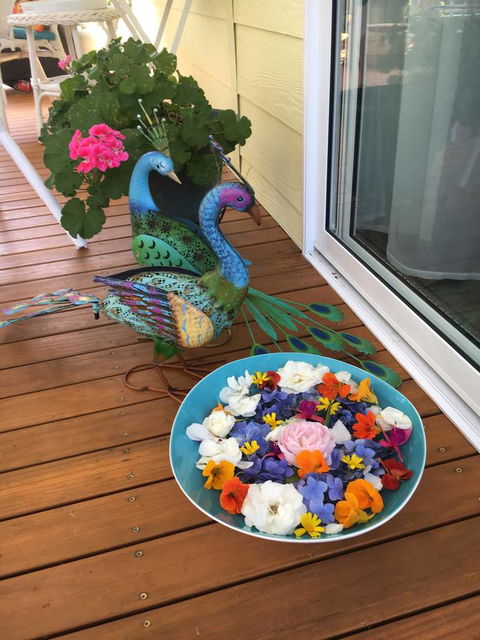The Best Exotic Magnolia Cottage - Accommodation Gladstone 8