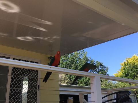 The Best Exotic Magnolia Cottage - Accommodation Gladstone 11