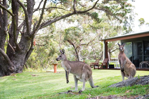 By The Beach B&B Self Contained Apartments - Accommodation Gladstone 17