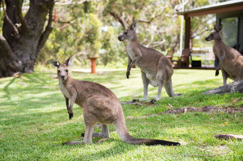 By The Beach B&B Self Contained Apartments - Accommodation Gladstone 16