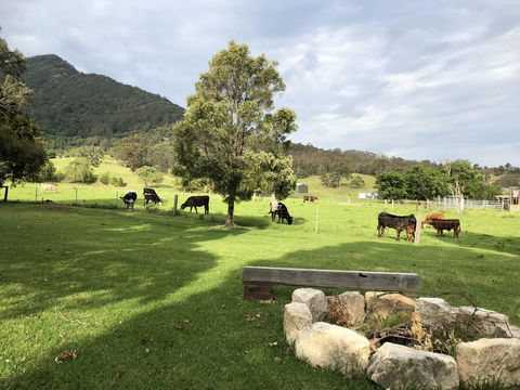 Arcadia - The Barn Cottage & Rosehill Cottage - Accommodation Gladstone 29