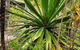Ballina Beach Resort - thumb 35