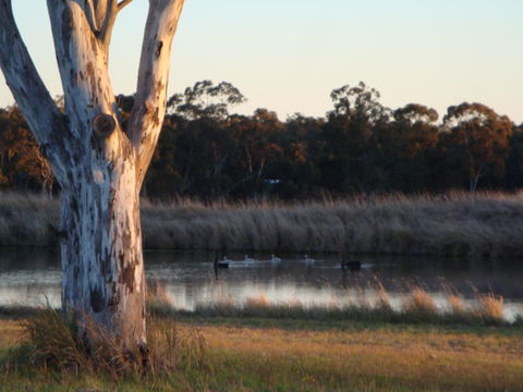 Adina Vineyard - Accommodation Gladstone 10