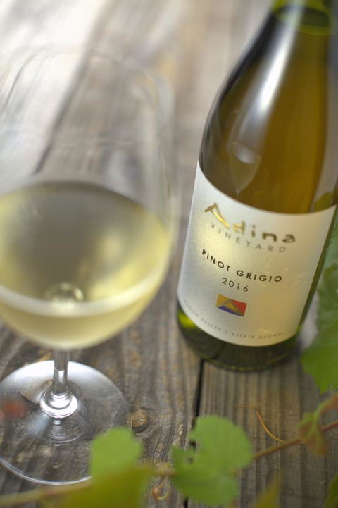 Adina Vineyard - Accommodation Gladstone 7