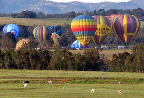 Adina Vineyard - Accommodation Gladstone 9