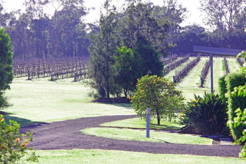 Adina Vineyard - Accommodation Gladstone 14