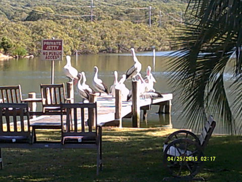 Pelican H2O One & Two Bedroom Apartments - Accommodation Gladstone 9