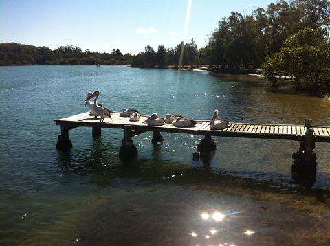 Pelican H2O One & Two Bedroom Apartments - Accommodation Gladstone 5