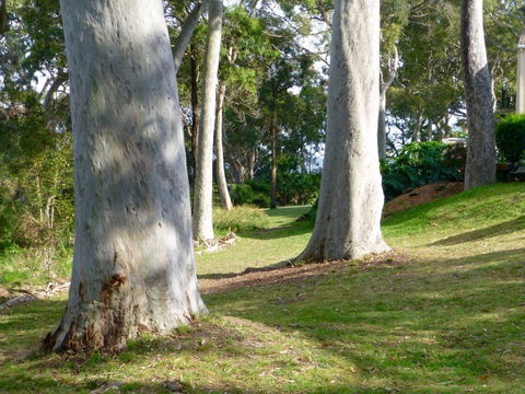 The Retreat At Palm Beach - Accommodation Gladstone 4