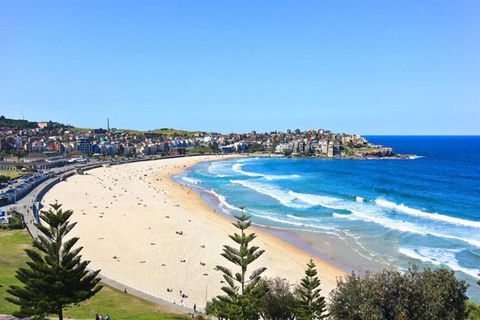 Right On Bondi - Accommodation Gladstone 13