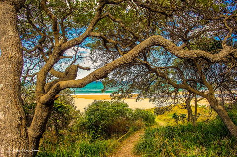 Valla's Beach House - Accommodation Gladstone 2